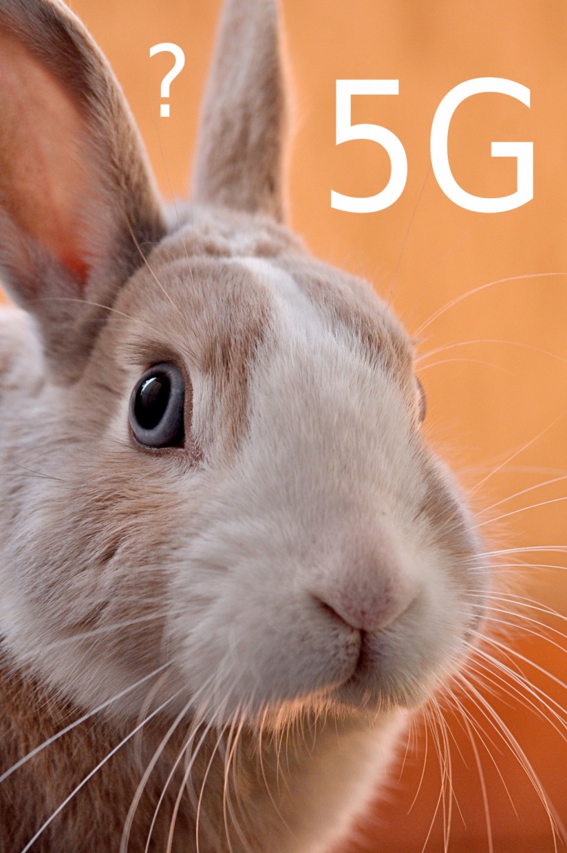hase_emiliano-vittoriosi-3FSBkX4yG80-unsplash_1920